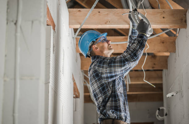 Best Electrical System Inspection  in Sur Hill, GA